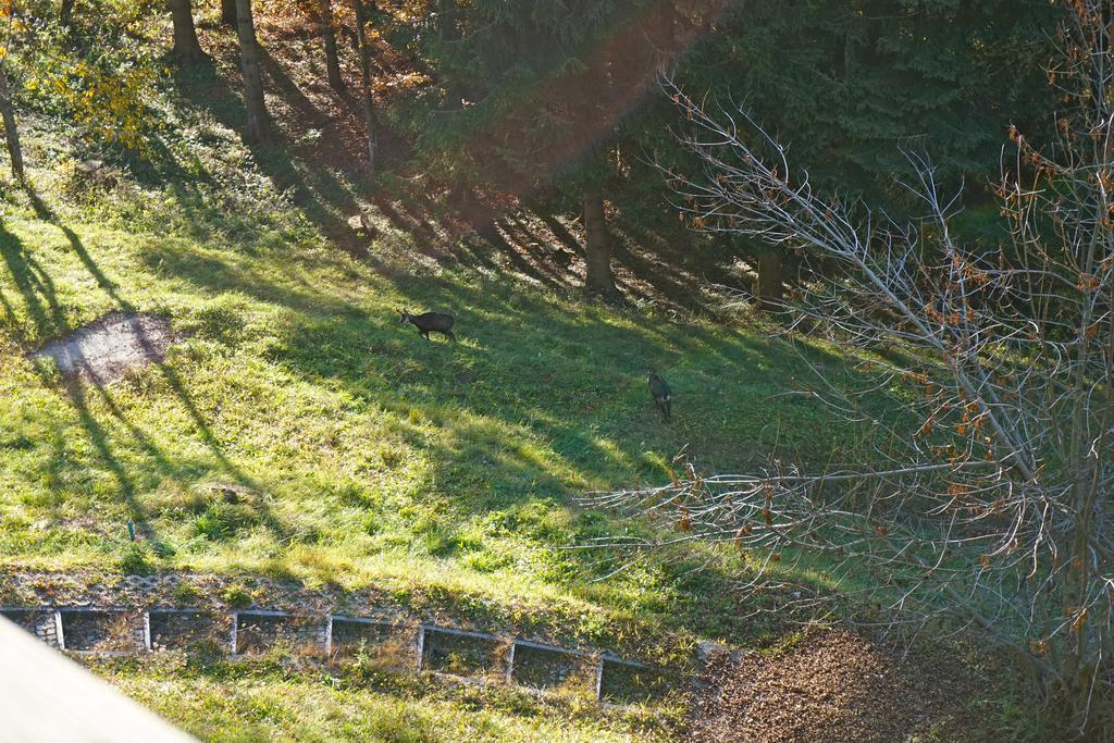 Domaine De La Croix De Javernaz Villars-sur-Ollon Kültér fotó