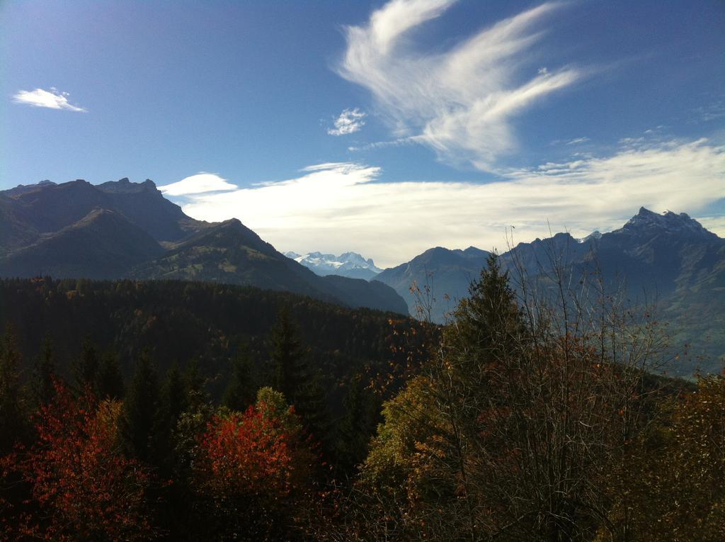 Domaine De La Croix De Javernaz Villars-sur-Ollon Kültér fotó